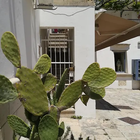 Apartmán Vista Castello -