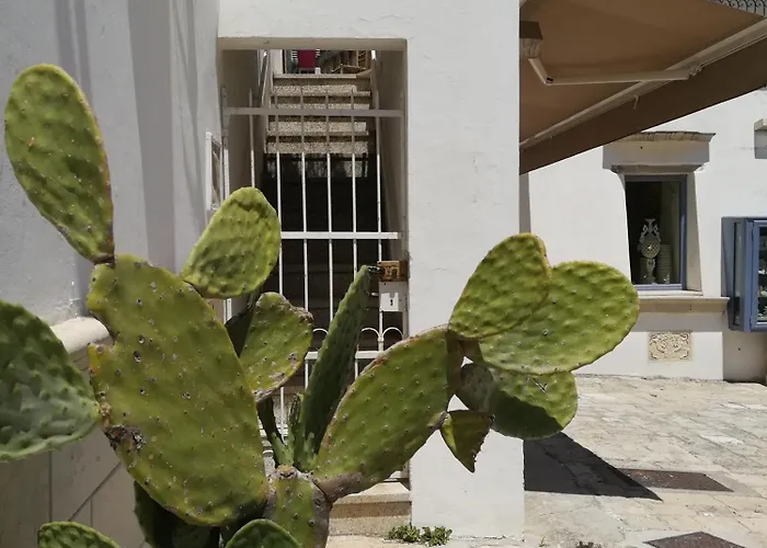 Vista Castello - Otranto